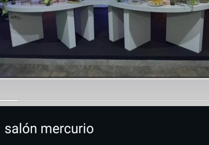 Galería del Salón Mercurio - imagen ilustrativa 8